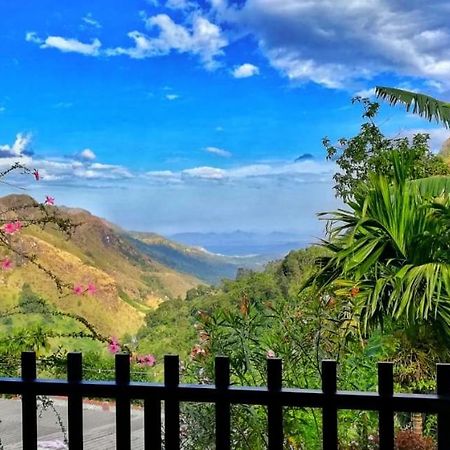 Divine View Homestay エッラ エクステリア 写真