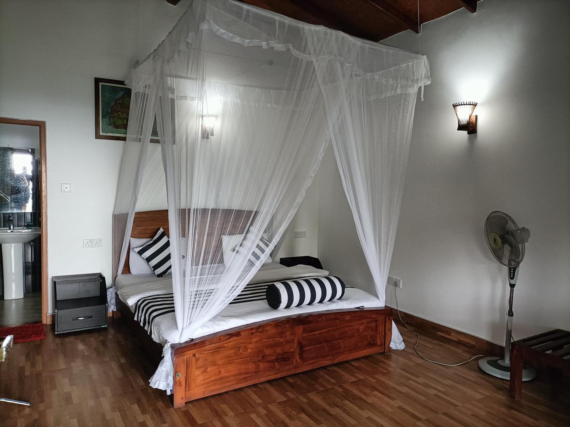 Divine View Homestay エッラ エクステリア 写真