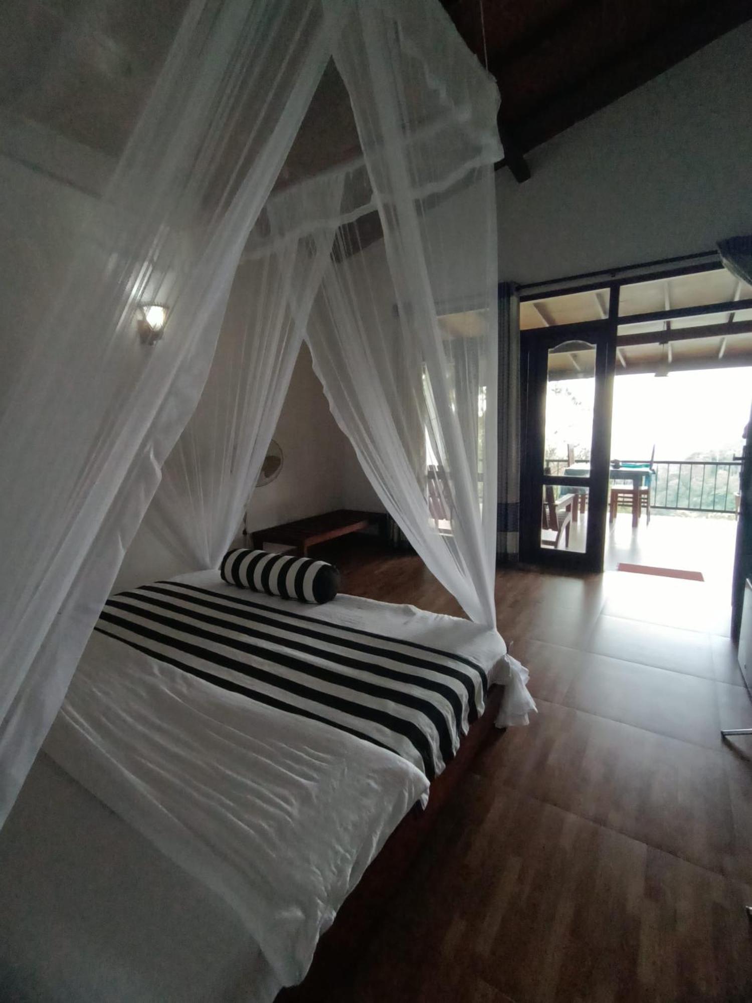 Divine View Homestay エッラ エクステリア 写真
