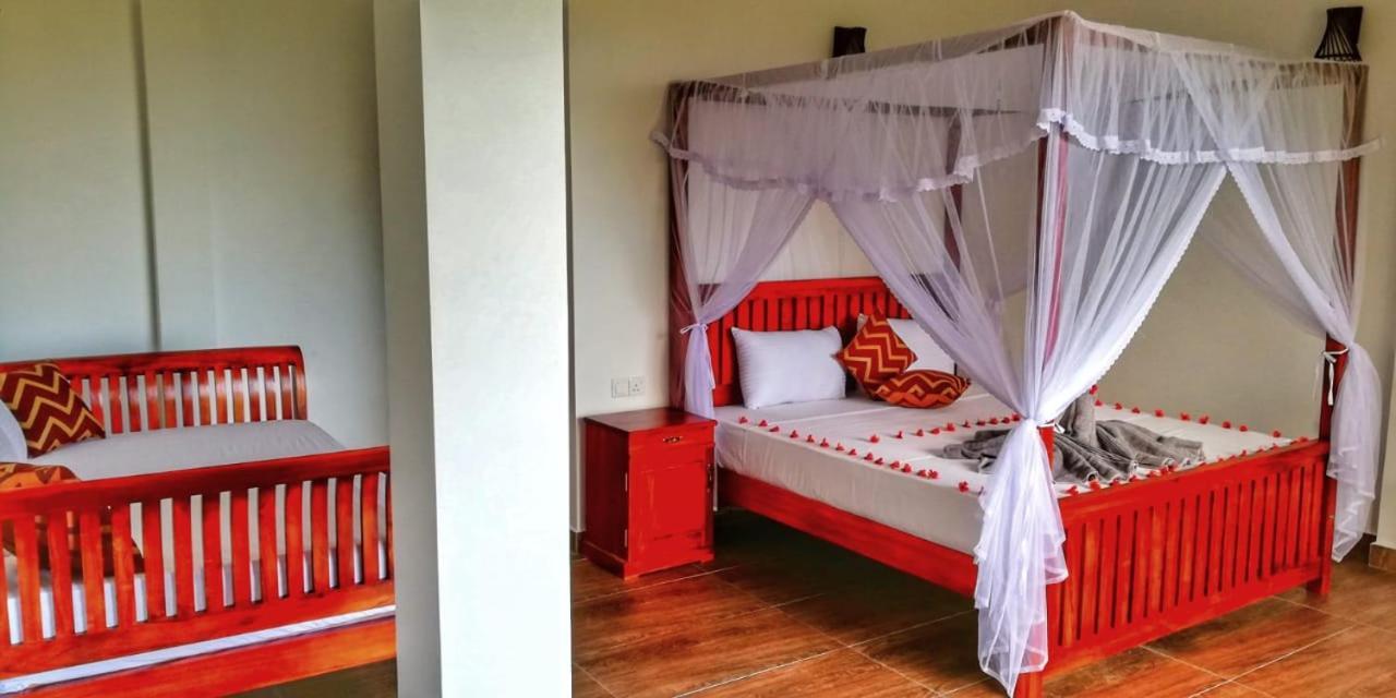 Divine View Homestay エッラ エクステリア 写真