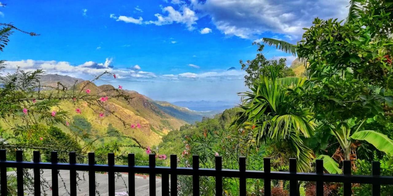 Divine View Homestay エッラ エクステリア 写真